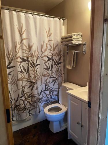 a bathroom with a toilet and a shower curtain at Legacy Vacation Rental in Valemount