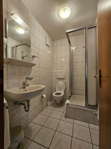 a bathroom with a sink and a toilet and a shower at Braukeller Fattigau in Oberkotzau