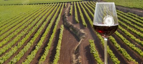 Φωτογραφία από το άλμπουμ του Ca l'Eli σε Montblanc