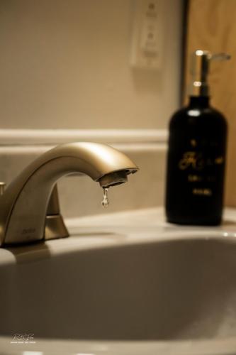 a sink with a soap dispenser and a bottle of soap at Auberge Le Chic in Maniwaki