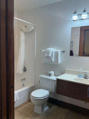 a bathroom with a toilet and a tub and a sink at Town Hall Inn in Lead