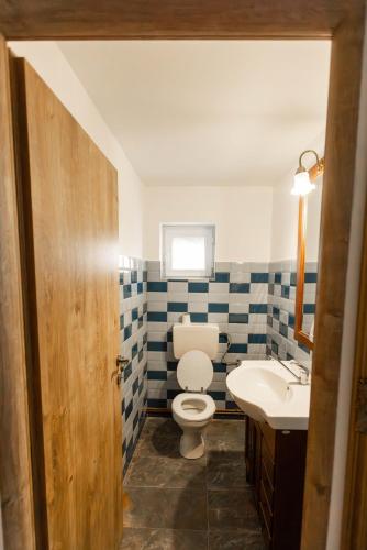 a bathroom with a toilet and a sink at Șura lu' Aurel in Gîrdani