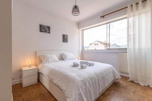 Very nice apartment, center near Colmar train station