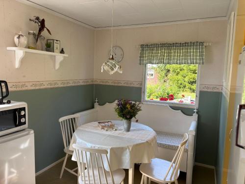 Η κουζίνα ή μικρή κουζίνα στο Schwedenhaus am See