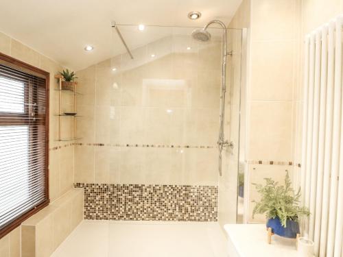 a bathroom with a shower with a plant in it at Rowan Tree House in Brechin