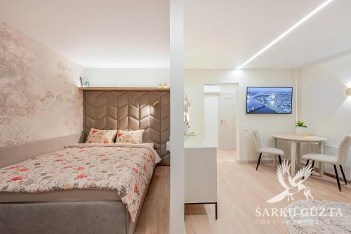 Μια τηλεόραση ή/και κέντρο ψυχαγωγίας στο SarkuGuzta Cozy Apartment