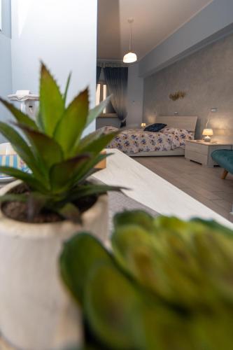 VICOLO 55 Guest House