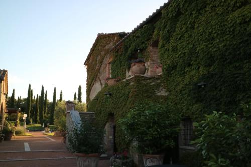 a building covered in ivy with potted plants on it at Agriturismo La Sovana in Sarteano