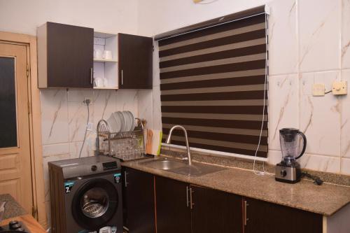 イケジャにあるAgathos Apartmentのシンクと洗濯機付きのキッチン