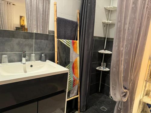 a bathroom with a sink and a shower at Chambre d'hôtes in Montauban