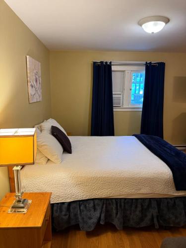 a bedroom with a bed with blue curtains and a window at Midstream Manor Unit 1 - Studio in St. John's