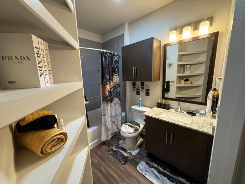 ein Badezimmer mit Waschbecken, Toilette und Spiegel in der Unterkunft 1B1B Luxury with City view in Dallas