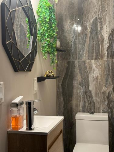 a bathroom with a toilet and a sink and a mirror at Oasis de comodidad Habitación individual o compartida in Jersey City