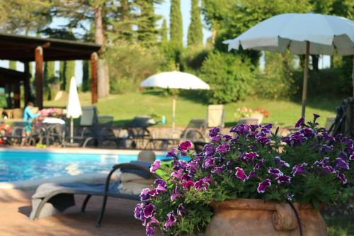 a pot of purple flowers next to a swimming pool at Agriturismo La Sovana in Sarteano