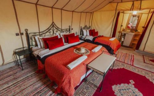 Amazing Luxury Camp