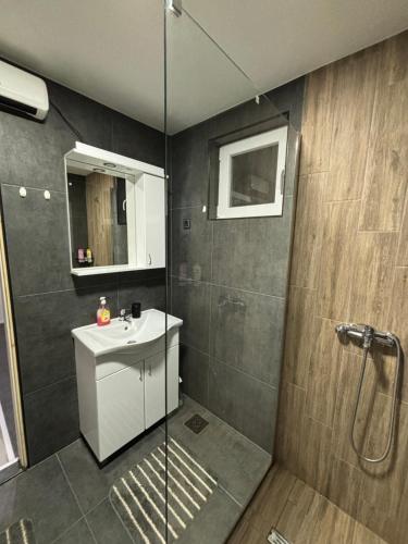 Koupelna v ubytování Planinska vila KTM Lisine