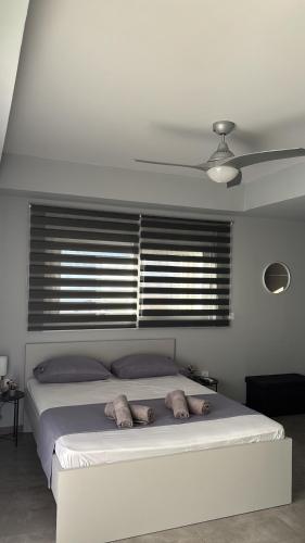 ThaniaS'S Studio 1