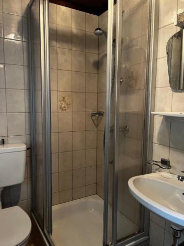 圣安东阿尔贝格Apart Dorr的带淋浴、马桶和水槽的浴室