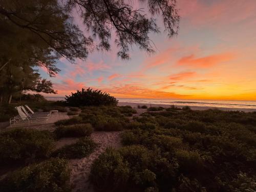 a sunset on the beach with a bench and bushes at Bamboo Apartments in Holmes Beach