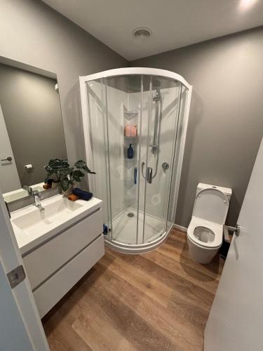 une salle de bain avec douche et toilettes dans l'établissement Brand New, Bright & Private Silverstream Stay, à Upper Hutt
