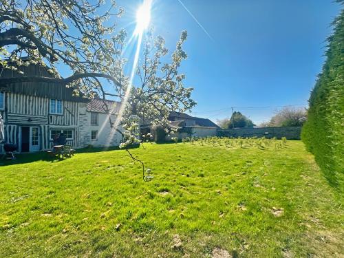 Κήπος έξω από το Chez Gheorghe