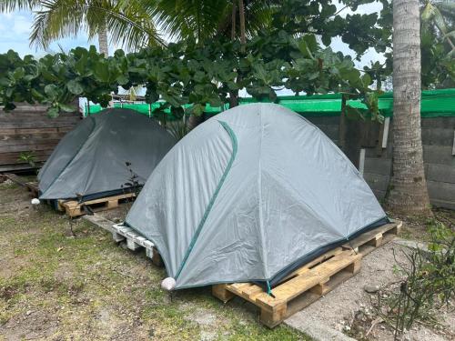 Zahrada ubytování Bora Roots Camp