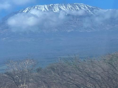 a snow covered mountain with trees in the foreground at A Oasis Taveta in Taveta