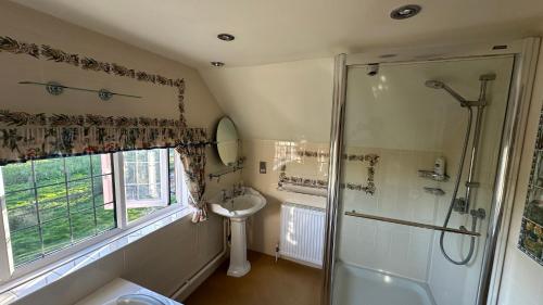 GeldestonにあるDanegelts Waveney Marshes Bed & Breakfastのシャワーと洗面台付きのバスルーム