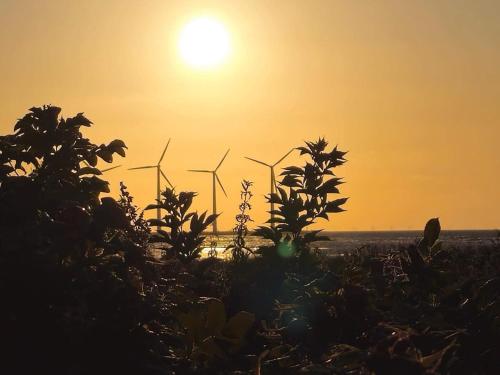 Ảnh trong thư viện ảnh của 8 person holiday home in Glesborg-By Traum ở Glesborg