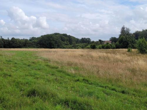 Příroda nedaleko prázdninového domu