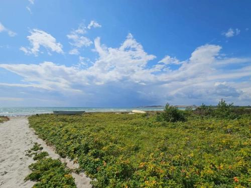 ein Strand mit einem Boot und einem Blumenfeld in der Unterkunft 8 person holiday home in Knebel in Knebel