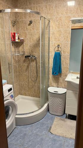 a bathroom with a shower and a toilet and a sink at Stan na dan Šamac in Bosanski Šamac
