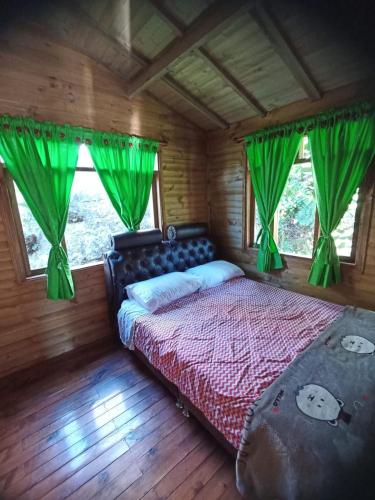 a bedroom with a bed with green drapes at Cabañas 4 Caminos in San Francisco