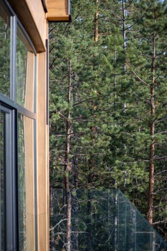 a window of a house looking out at the forest at 3 Tačke Tara in Zaovine