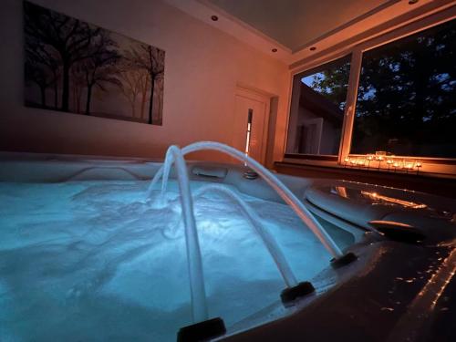 a jacuzzi tub in a room with a window at Ober Langengarten in Pittenbach