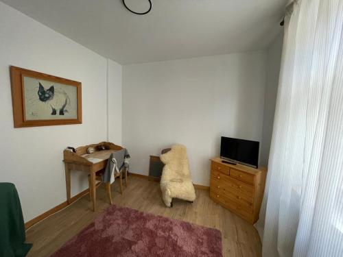 TV a/nebo společenská místnost v ubytování Gasthaus Liam B