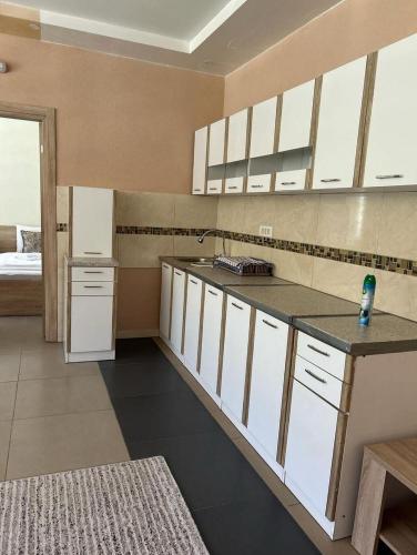 Afbeelding uit fotogalerij van Hotel Aldi in Rožaje