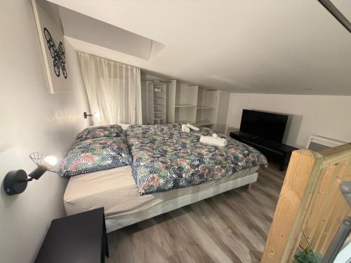 a bedroom with a bed and a flat screen tv at Duplex Moon x4 pers NEW - Gare Parilly in Vénissieux