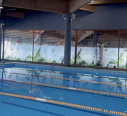 Πισίνα στο ή κοντά στο Premium Center Apartment