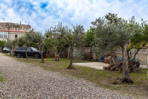 un grupo de árboles en un patio junto a un edificio en Fabiola Guest House, en Pompeya