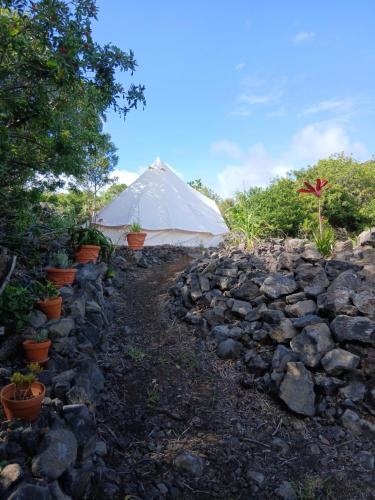 a large white tent with a stone wall and plants at Affordable Hawai'i in Naalehu