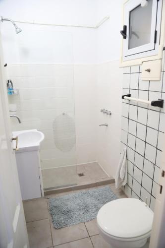 a bathroom with a shower and a toilet and a sink at Escapada Exclusiva en Finca con Viñedos y Olivares Relájate en la Naturaleza con Confort y Encanto in San Rafael