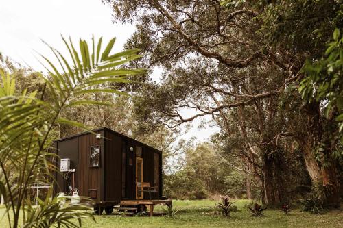 a black tiny house in a field with trees at Yarriabinni Escape 2 by Tiny Away in Stuarts Point