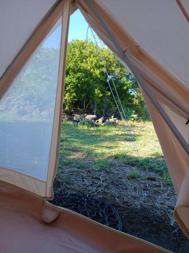 Κήπος έξω από το Affordable Hawai'i