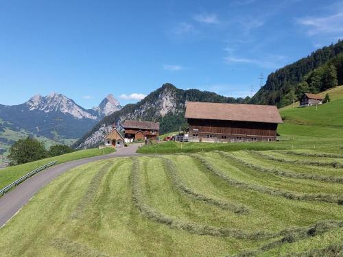 a barn on a hill next to a road at Biohof Langberg in Lauerz
