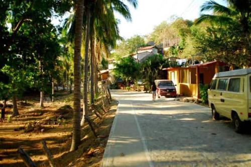 uma van estacionada na beira de uma rua com palmeiras em Casa "Cerca del Mar" em Mazunte