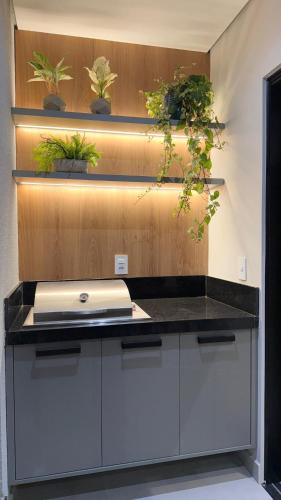 a kitchen with a counter with potted plants on the wall at Flat moderno e aconchegante Holambra in Holambra