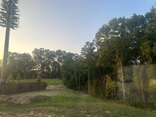 a dirt road in a yard with trees at The Magnolia Suite in Oxford