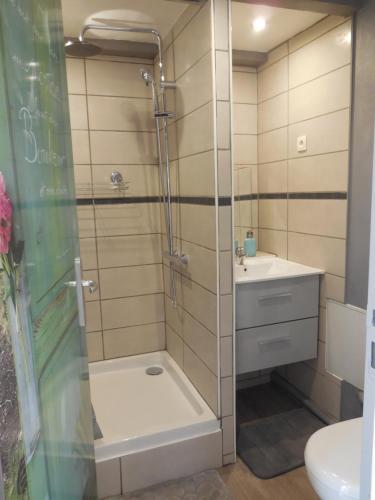 La salle de bains est pourvue d'une douche et d'un lavabo. dans l'établissement Gîte Cerise & Coquelicot, à Epfig