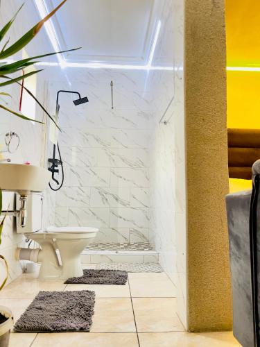a bathroom with a sink and a toilet at Genza Guesthouse in Pretoria in Pretoria